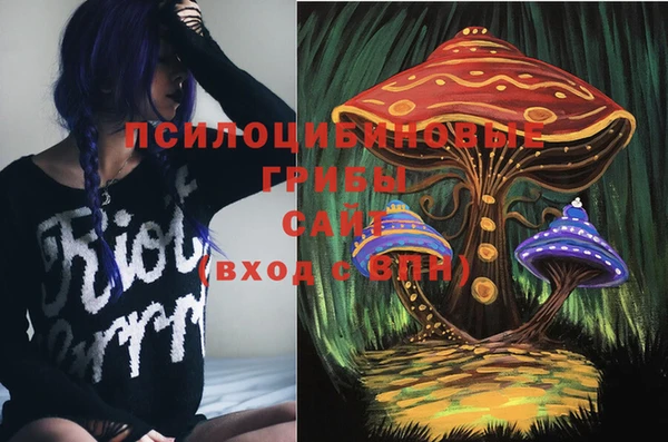 mdpv Баксан